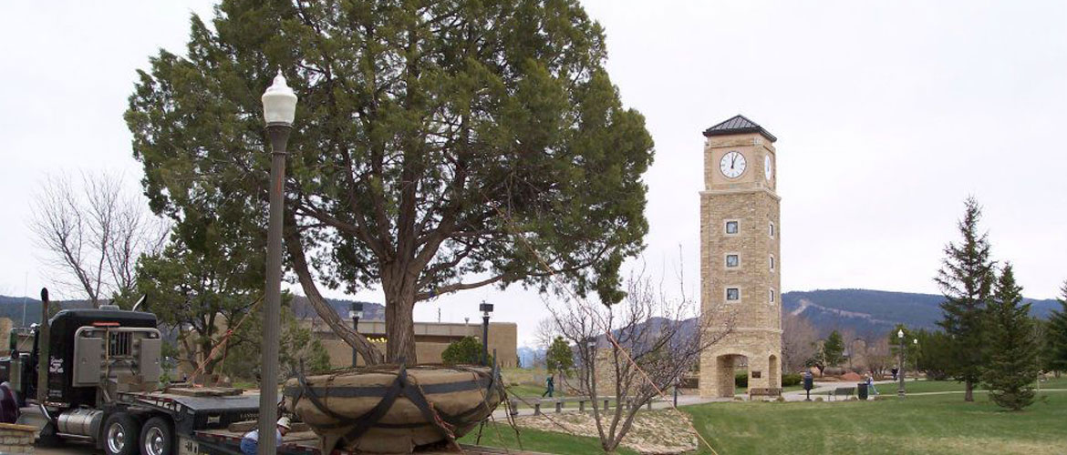 Animas Valley Arborists Four Corners area arborist Durango, CO
